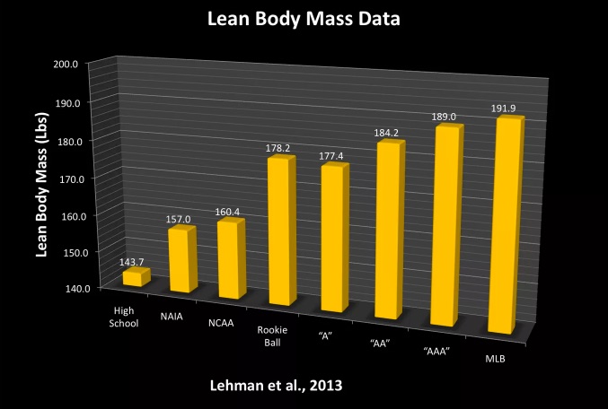 lean body mass in baseball