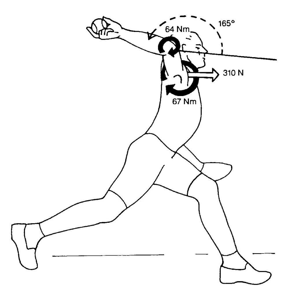 kinetics of baseball pitching
