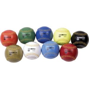 Champion Weighted Ball Set