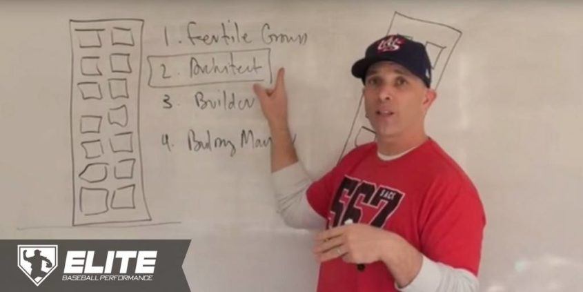 4 Pillars to Maximize Baseball Performance